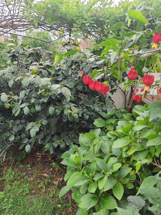 Chez Helene Daire Bordeaux Dış mekan fotoğraf
